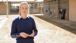 Want to study Equine Science – just go for it!