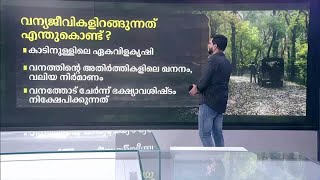 എന്തുകൊണ്ട് വന്യമൃഗങ്ങള്‍ കാടിറങ്ങുന്നു ​| Wild Animals |