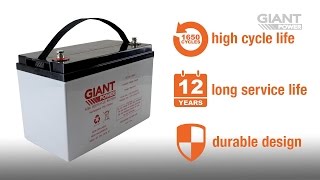 Giant Power Deep Cycle Batteries