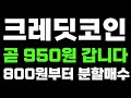 [크레딧코인전망&분석] 곧 950원 갑니다!800원부터 분할매수시작하세요!