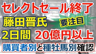 【当歳セレクトセール】落札額確認「サートゥルナーリア産駒」意外な馬も高額