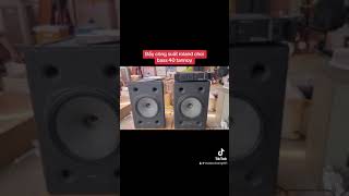 Đẩy roland nhật chơi hẳn loa TANNOY bass 40 .0931655906