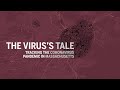 Coming Sunday: The full account of how coronavirus spread in Mass.