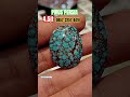 Pirus Persia urat merah #malaysia #turquoise #singapore