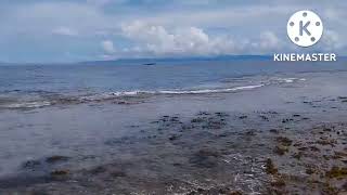 PANGUNGUHA NANG SEA CUCUMBER....RAPU2 ISLAND