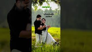 പ്രണയം എന്നും #love 143 pookkaalam vannu പൂക്കാലം വന്നു #romanticmusic #feel #music #song #പ്രണയം