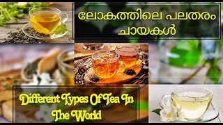 ലോകത്തിലെ പലതരം ചായകൾ | A World of Tea: Exploring Different Types of Tea from Around the Globe