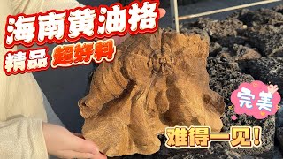 【Agarwood】【沉香】一块顶级的黄油格老料，够老够厚，油脂线明显清甜扑鼻，相当满意