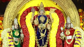 திருத்தணிகை அருள்மிகு சுப்பிரமணிய சுவாமி திருக்கோயில்  ஆடி கிருத்திகை தெப்பத்திருவிழா - 2021