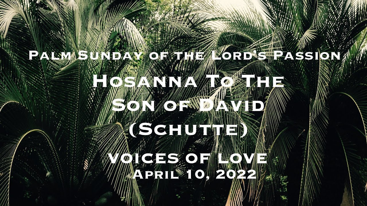 Hosanna To The Son Of David (Schutte) Cover By Voices Of Love - YouTube