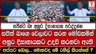 සජිත්ට බෑ අනුර දිසානායක පරද්දන්න