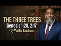 The Three Trees  Genesis 1-28  2-17 by Voddie Baucham