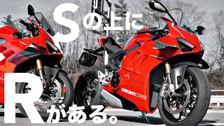 【2台のパニガーレV4R】渾身の【R】を購入された175㎝のライダーさん【Sの上にはRクラスがあった】