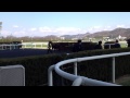 2012年4月7日再開福島競馬場　第8r終了後の検量室前～記念撮影