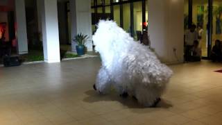 Lion Dance in Okinawa