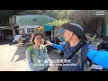 【五寮尖】 三大岩場五寮尖，真的很難爬嗎 is it really difficult to climb wuliao peak