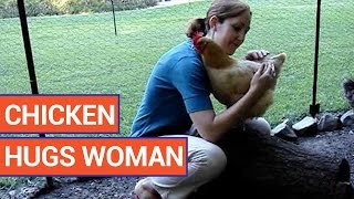 Adorable Chicken Hugs Woman | Daily Heart Beat