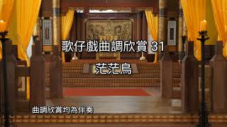 歌仔戲曲調欣賞31【茫茫鳥】