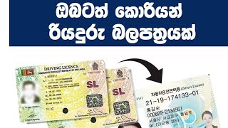 How to get Korean driving license in srilanka | ඔබටත් දකුණු කොරියාවේ රියදුරු බලපත්‍රයක්