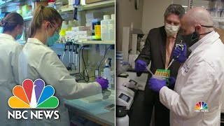 Coronavirus: Top Labs See Real Progress On Immunity, Vaccine | NBC Nightly News