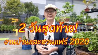 2 วันสุดท้ายในการเที่ยวชมงานบ้านและสวนแฟร์ 2020 ที่ไบเทคบางนา