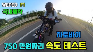 E-BIKE WEPED F1 속도측정?  자토바이왕 위페드 F1 속도는? #WEPED #전기자전거 #자토바이