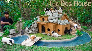 Rescue dog and Build Cabin Dog House for Puppies.