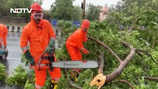 Cyclone Biparjoy Batters Gujarat, Road Clearance Work Underway