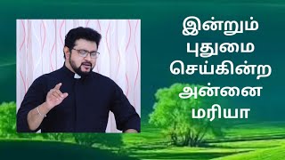 இன்றும் புதுமை செய்கின்ற அன்னை மரியா