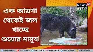 Water Crisis | অবাক জলপান! Jalpaiguri তে জল নিয়ে যা কাণ্ড ঘটছে, আকাশ থেকে পড়বেন | Animal | Local18