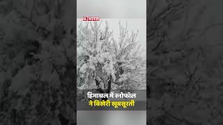 Himachal Pradesh में Snowfall ने बिखेरी खूबसूरती, बर्फबारी का लुत्फ उठाने निकले लोग #Shorts