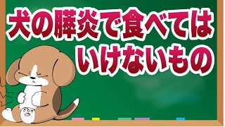 犬の膵炎｜食べてはいけないものは？【獣医師解説】