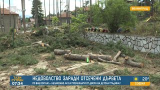 Недоволство заради отсечени дървета: Незаконно ли са премахнати? | „Тази сутрин“ – БТВ