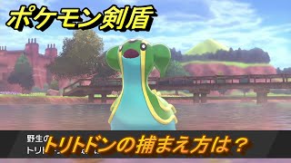 ポケモン剣盾　トリトドンの出現場所は？オススメの場所は？天気は？ポケモン図鑑コンプへの道！　最新版【ポケモンソード・シールド】