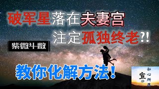 EP4【紫微斗数感情】「真实命盘分析」《破军星》落在夫妻宫，注定孤独终老?!【教你如何化解】#紫微斗数 #宣如心所愿XUANWish #感情