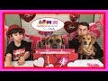 CUTEST PUPPY’S FIRST VALENTINE’S DAY | FUNNY DOG CHASING LASER | NICO’S NOOK (EPISODE 8)