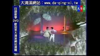 大清溪影視-全國KTV冠軍曲08 1歌曲：1假情假愛2星星知我心3彼個小姑娘，卡拉OK伴唱帶