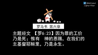 罗马书第6章-有声书-和合本圣经-高清视频和1倍到2倍最佳音效