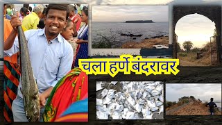 हर्णे बंदर दापोली | harnai | harnai fish market | harnai beach market | harnai beach dapoli | kokan