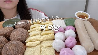 두바이 초콜릿 찹쌀떡 이렇게 맛있다니..먹방 브이로그(꿀떡 호박인절미떡 가래떡 절편 쑥개떡 두바이초콜릿찹쌀떡) mukbang vlog