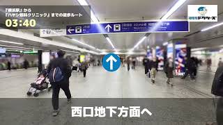 ハヤシ眼科クリニックの徒歩ルート（横浜駅・眼科）