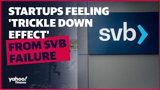 Svb Collapse The Trickle Down Effect Hitting Startup Payrolls