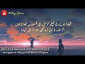 Agar ye keh do bagair mere Amir Ameer || Two Line Poetry || Muneeb Haider