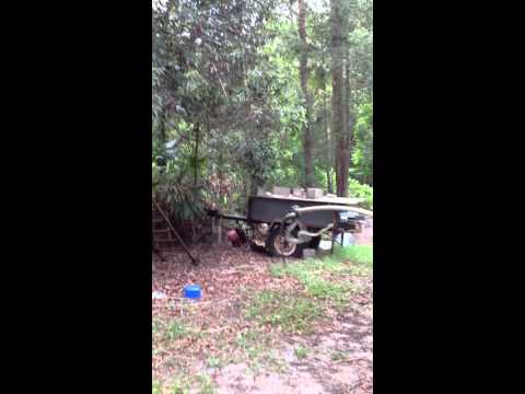 How to get rid of a carpet snake: Dad style How to get rid of a carpet snake: Dad style