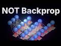 The Brain’s Learning Algorithm Isn’t Backpropagation