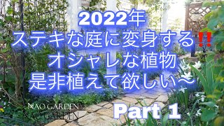 【ガーデニングvlog】｜2022年に向けてステキな庭に変身する‼️オシャレな植物一気にご紹介〜早春編｜Introducing plants that bloom in early spring