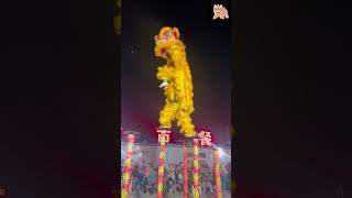 中国非遗舞狮表演：祥瑞幸福象征，技艺高超传承#G24293  2024-08-06