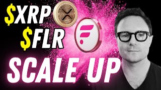 XRP FLARE UTILITY BULL RUN WILL BE EPIC