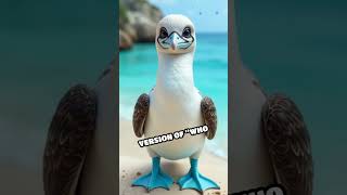 The Wobbling Walker- The Blue-Footed Booby