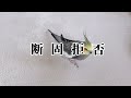 ママしか使っていけない言葉をパパが使うとこうなります2 オカメインコこはくさん